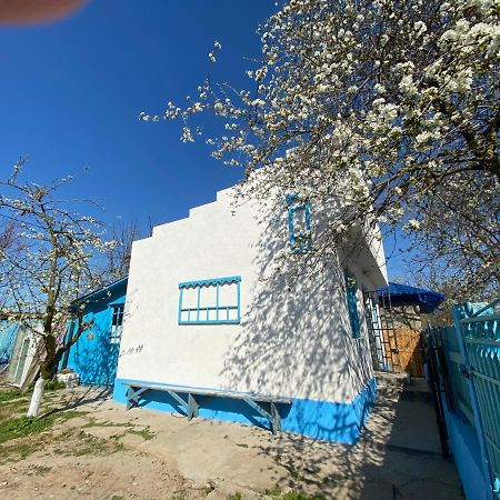 Casa Bunicilor Granny'S House Villa Jurilovca Exterior photo