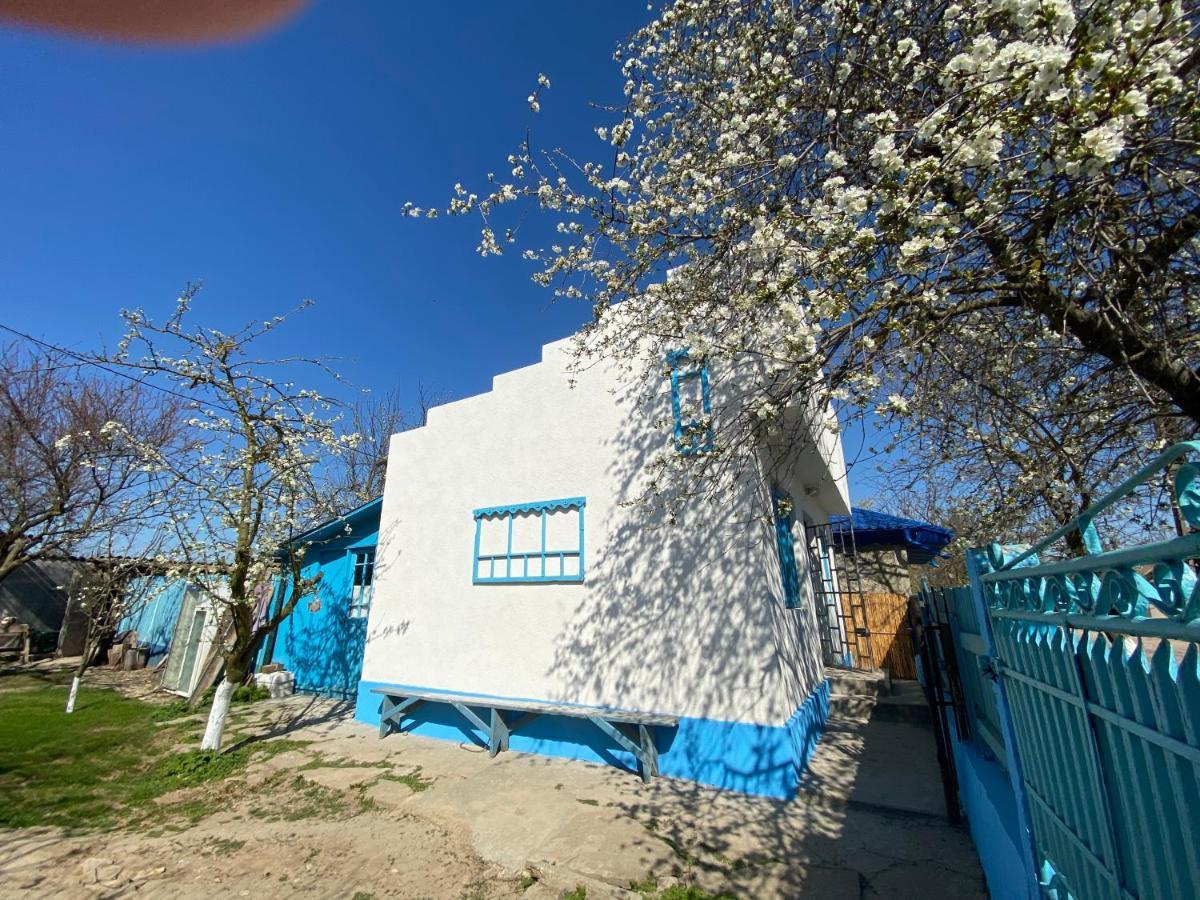 Casa Bunicilor Granny'S House Villa Jurilovca Exterior photo