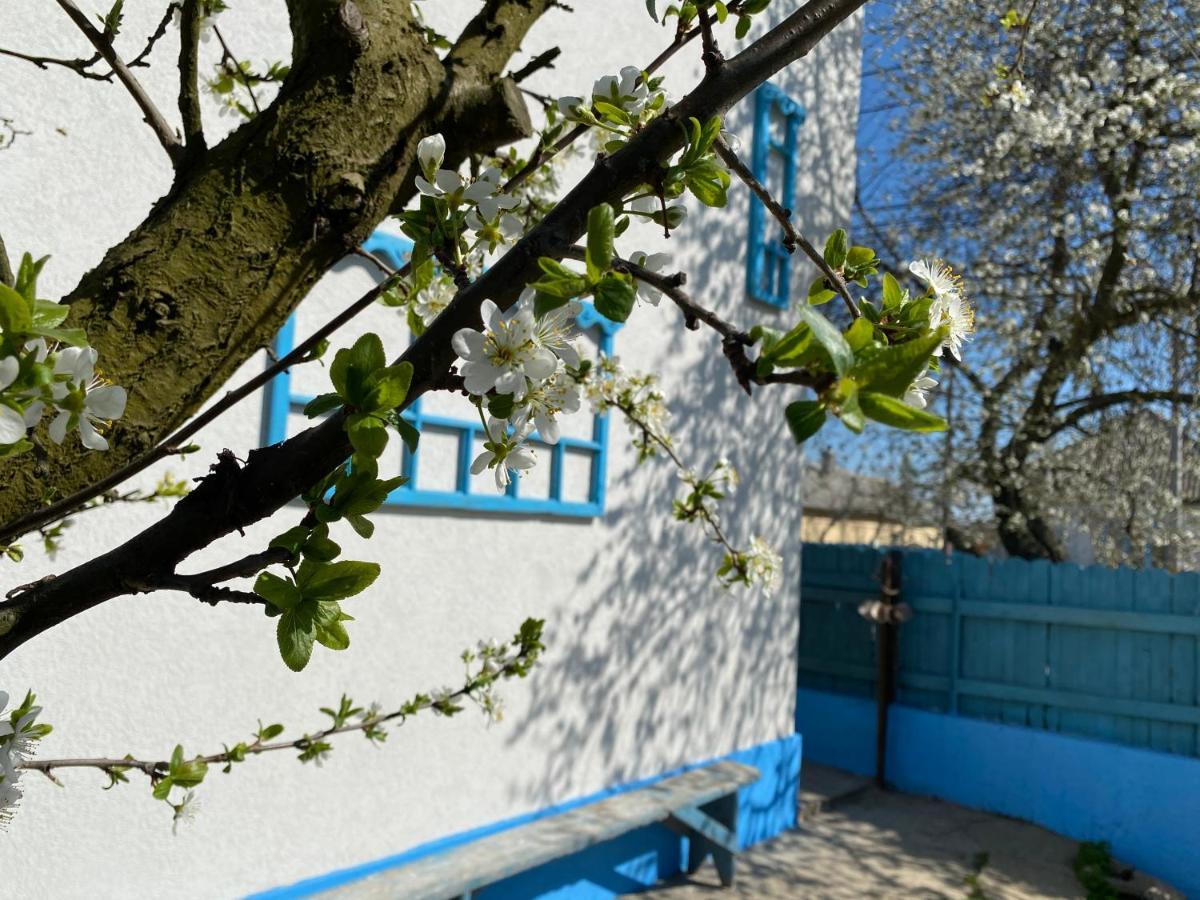 Casa Bunicilor Granny'S House Villa Jurilovca Exterior photo