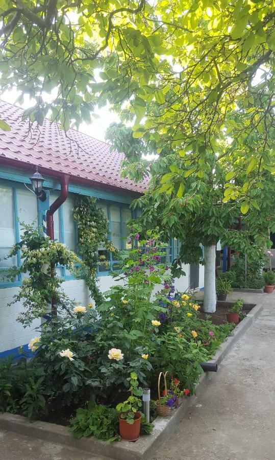 Casa Bunicilor Granny'S House Villa Jurilovca Exterior photo